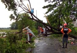 Sukoharjo Kembali Diguyur Hujan Deras dan Angin Kencang, Ada Pohon Tumbang Melintang di Jalan