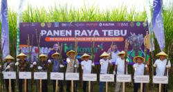 Pupuk Kaltim Berhasil Realisasikan 72.436 Hektare Lahan dengan 24.497 Petani Pada 2023