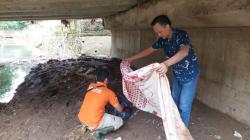 Geger, Mayat Bayi Ditemukan di Bawah Kolong Jembatan Sulah