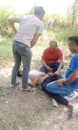Bandar Shabu Pasrah Terbaring Tak Berkutik Ditangkap Polisi di Kebun Sawit
