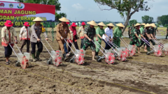 Tingkatkan Hasil Pertanian, Prajurit TNI dan Petrokimia Bersinergi Mengolah Lahan Tidur