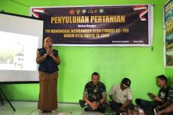 Petani Disuluh Ilmu Seleksi Benih Padi Bermutu