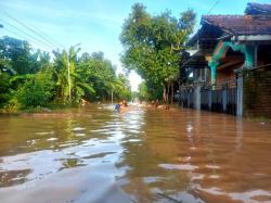 Terjebak Banjir di Jombang, Kisah Warga yang Bertahan di Tengah Genangan Air Tahunan Mematikan