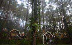 Asyiknya Kemping di DeLoano Glamping, Ekowisata Hutan Pinus di Ketinggian 850 MDPL