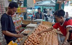 Menjelang Bulan Suci Ramadan Harga Telur Ayam Tembus Rp 32 Ribu per Kilogramnya