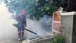 4 warga terjangkit DBD, Dinkes Boyolali Lakukan Fogging