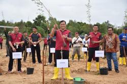 Polda Babel Tanam 1.870 Kayu Putih di lahan Eks Tambang Area Bandara