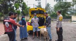 Suami dan Istri Ini Pemilik Warung Sate Nekat Curi Kambing Gunakan Mobil Mewah