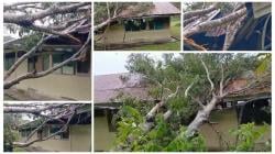 Hujan Disertai Angin Kencang di Sumba Timur, SDN Mandas Ditimpa Pohon Tumbang