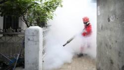 Jangan Andalkan Fogging, Warga Sumedang Diminta Gencarkan PSN untuk Cegah DBD