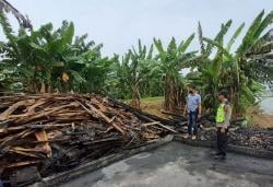 Api Tungku Masih Menyala, Tempat Pemotongan Ayam di Grobogan Ludes Terbakar