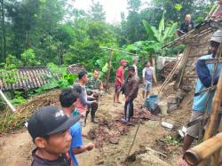 Longsor di Kalijambe Sragen Rusak Dapur dan Kandang Sapi Warga