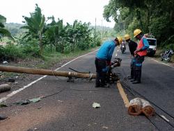 Cuaca Ekstrem Landa Cianjur Selatan, Pohon dan Tiang Listrik Tumbang