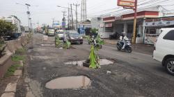 Banyak Pohon Pisang di Tengah Jalan Nasional Pantura Karawang, Ternyata Sengaja Ditanam Warga