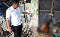 Sakit Hati Sering Disuruh, Adik di Jambi Tega  Bacok Kakak Kandung hingga Tewas