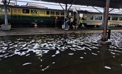 Ini Wilayah Terdampak Banjir, Longsor dan Pohon Tumbang di Kota Semarang