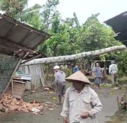 Pohon Kelapa 12 Meter Tumbang,Timpa Rumah Warga