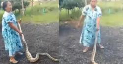 Video Viral Emak-Emak Hajar Ular Piton, Ini Penyebabnya