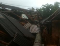 Angin Kencang, Pohon Kelapa Tumbang Timpa Rumah Warga di Pandeglang hingga Rusak