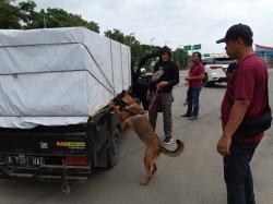 6 Anjing K9 Polri Bantu Gagalkan Peredaran Narkoba di Pelabuhan Bakauheni