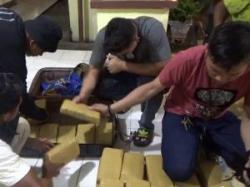 Pengiriman 28 Kg Ganja dari Aceh ke Jakarta lewat Pelabuhan Bakauheni Digagalkan Petugas