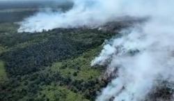 Karhutla Kembali  Melanda Riau, Ini Daerah yang Rawan