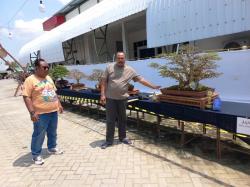 Mau Lihat Bonsai Seharga Rp1 Miliar, Datang Saja ke Gedung Dewi Sri Danyang Purwodadi