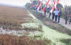 Terendam Banjir, 1.260 Hektare Tanaman Padi di Kendal Terancam Gagal Panen