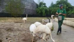 Aviary Park di Bintaro Tawarkan Petualangan Alam Bersama Keluarga yang Tidak Terlupakan