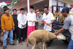 Demi Gus Fawait Maju Calon Bupati Jember, Pedagang Kambing dan Sapi Rela Patungan