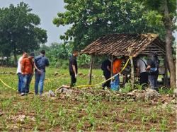 Geger! Seorang Remaja di Gresik Ditemukan Tewas di Kebun Jagung