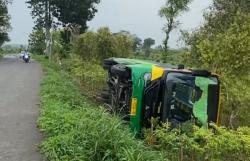 Bus Trayek Mojokerto-Gresik Terguling di Kebun Cabai, Penumpang Selamat Berkat Evakuasi Dramatis!