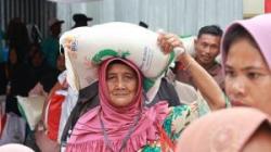 Mentan Singgung Bulog Diminta Fokus Serap Gabah Petani, Bukan Impor Daging Kerbau