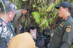 Kepala Badan Karantina Indonesia Telusuri Jalur Tikus Entikong: Ini jadi pintu masuk Bioterorisme