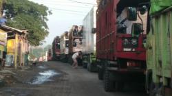 Terjebak Kemacetan Saat Menuju Pelabuhan, Sopir Truk Ini Terpaksa Tidur Bersama Sapi
