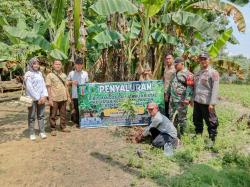 Babinsa dan Babinkhamtibmas Dampingi Penyerahkan Bibit Buah-buahan Kepada Masyarakat Sri Numpi