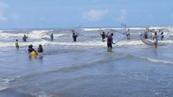 Manfaatkan Momen Warga Lokal Pantai Apra Tangkap Impun