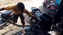 Heboh! Ular Sanca 2 Meter Masuk ke Dalam Mesin Motor di Tenjo