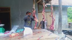 Momen Lebaran Harga Daging Sapi Merangkak Naik