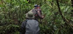 Jalur Pendakian ke Gunung Gede Pangrango Kembali di Buka, Kepala Balai Ingatkan Pendaki