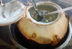 Lagi Viral! Adakah Manfaat Kelapa Bakar bagi Kesehatan Tubuh?