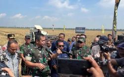 KSAD Hadiri Panen Raya Padi di Subang, TNI Wujudkan Ketahanan Pangan Nasional