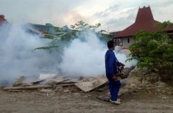 Kepala Dinkes Demak: Fogging Bukan Solusi Utama Cegah Demam Berdarah