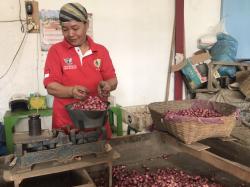 Sepekan Setelah Idul Fitri Harga Bawang Merah Di Jember Masih Tinggi