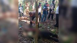 Petani di Simalungun Ditemukan Tewas di Ladang Kopi, Diduga Akibat Asam Lambung Kronis