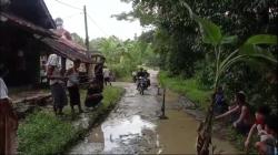 Kesal Jalan Rusak, Warga Lebak  Sebar Ikan Lele dan Tanam Pohon Pisang di Jalan Berlubang