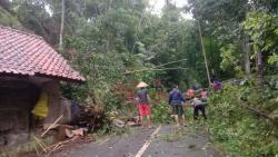 Tanah Longsor Tutup Akses Jalan ke Objek Wisata Darmacaang Ciamis, Aktivitas Warga Terganggu