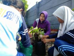 Peringati Hari Bumi, SMPN 1 Sedati Gelar Tanam Bibit Pohon dan Bersihkan Sampah