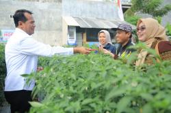 Keren, Pemkot Probolinggo Kembangkan Padi Organik dan Cabe Merah Teknologi Irigasi Tetes