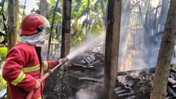 Naas! Kandang Kambing di Ponorogo Terbakar Hebat, 10 Ekor Mati Terpanggang